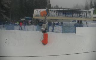 Nartorama Zieleniec - 29-01-2026 14:49