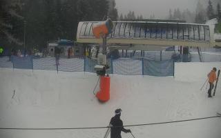 Nartorama Zieleniec - 29-01-2026 14:57