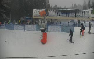 Nartorama Zieleniec - 29-01-2026 15:04