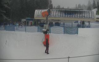 Nartorama Zieleniec - 29-01-2026 15:12