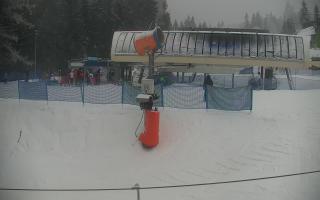 Nartorama Zieleniec - 29-01-2026 15:20