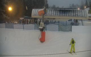 Nartorama Zieleniec - 29-01-2026 15:35