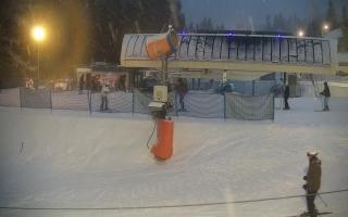 Nartorama Zieleniec - 29-01-2026 15:51