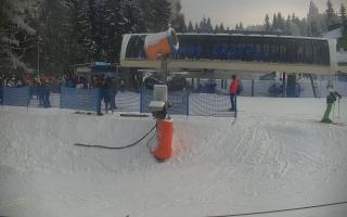 Nartorama Zieleniec - 01-02-2026 13:39