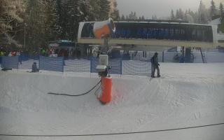 Nartorama Zieleniec - 01-02-2026 13:47