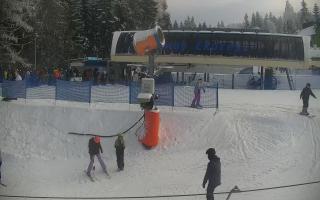 Nartorama Zieleniec - 01-02-2026 13:55