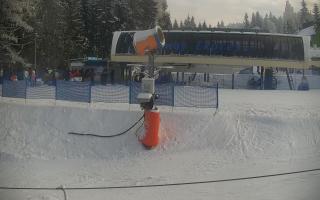 Nartorama Zieleniec - 01-02-2026 14:03