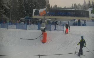 Nartorama Zieleniec - 01-02-2026 14:18