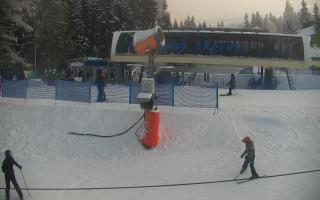 Nartorama Zieleniec - 01-02-2026 14:26