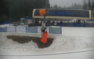 Nartorama Zieleniec - 16-03-2026 07:36