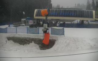 Nartorama Zieleniec - 16-03-2026 07:43