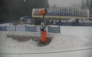 Nartorama Zieleniec - 16-03-2026 07:51