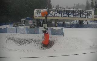 Nartorama Zieleniec - 16-03-2026 08:22