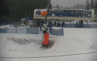 Nartorama Zieleniec - 16-03-2026 08:38