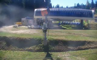 Nartorama Zieleniec - 03-05-2026 08:32