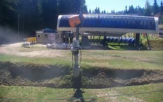 Nartorama Zieleniec - 03-05-2026 08:47