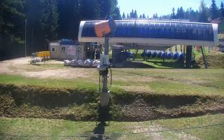 Nartorama Zieleniec - 03-05-2026 09:18