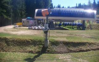 Nartorama Zieleniec - 03-05-2026 10:28