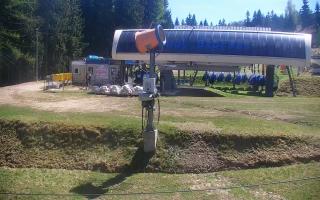 Nartorama Zieleniec - 03-05-2026 10:43