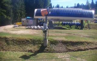 Nartorama Zieleniec - 03-05-2026 10:59