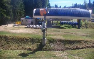 Nartorama Zieleniec - 03-05-2026 11:06
