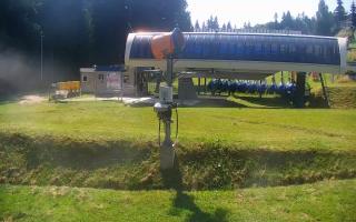 Nartorama Zieleniec - 30-07-2026 08:32