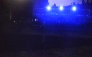 Nartorama Zieleniec - 01-08-2026 22:05