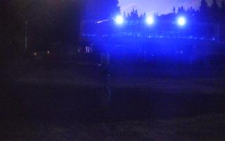 Nartorama Zieleniec - 01-08-2026 22:20