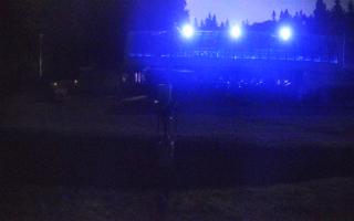 Nartorama Zieleniec - 01-08-2026 23:14