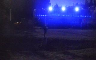 Nartorama Zieleniec - 26-10-2026 18:51
