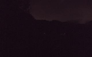 Hotel Stok - 03-08-2025 00:31