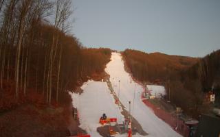 Hotel Stok - 13-12-2025 06:02