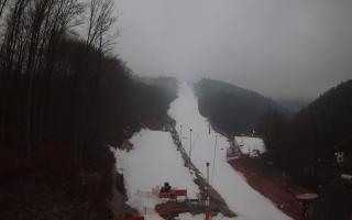 Hotel Stok - 13-12-2025 15:18