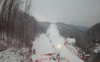 Hotel Stok - 01-02-2026 06:09