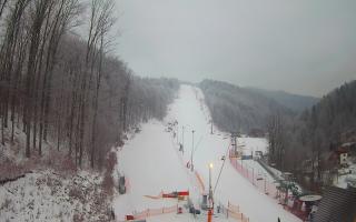 Hotel Stok - 01-02-2026 06:30