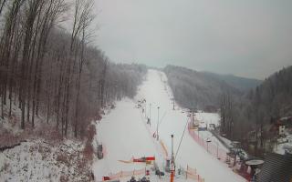 Hotel Stok - 01-02-2026 06:37