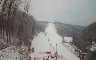 Hotel Stok - 01-02-2026 06:44