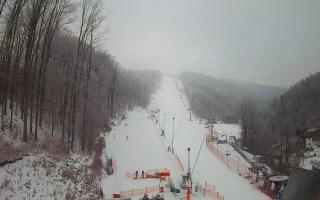 Hotel Stok - 01-02-2026 07:06