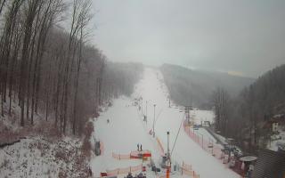 Hotel Stok - 01-02-2026 07:13