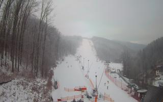 Hotel Stok - 01-02-2026 07:20