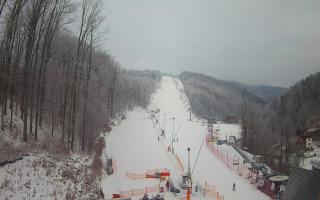 Hotel Stok - 01-02-2026 07:41