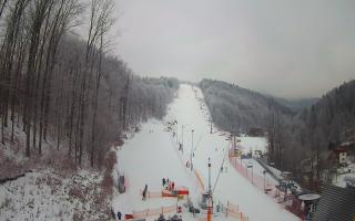 Hotel Stok - 01-02-2026 07:55