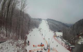 Hotel Stok - 01-02-2026 08:09