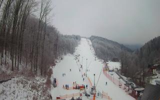 Hotel Stok - 01-02-2026 08:23