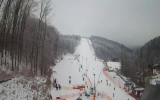 Hotel Stok - 01-02-2026 08:37