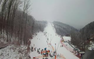 Hotel Stok - 01-02-2026 08:58