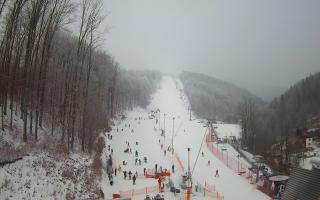 Hotel Stok - 01-02-2026 09:12