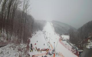 Hotel Stok - 01-02-2026 09:19