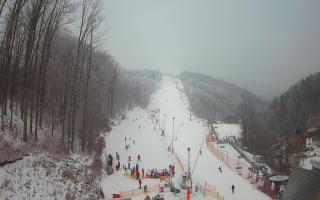 Hotel Stok - 01-02-2026 09:26