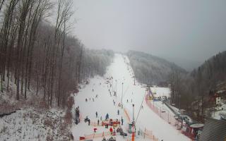 Hotel Stok - 01-02-2026 09:47